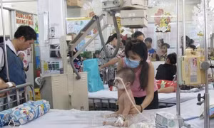 Thành phố Hồ Chí Minh phát động chiến dịch cao điểm diệt lăng quăng phòng, chống sốt xuất huyết