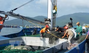 Thêm gói tín dụng ưu đãi cho ngư dân vươn khơi bám biển