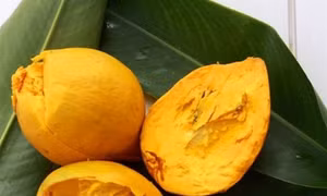 Ngọt bùi lê ki ma 