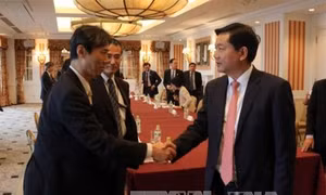 Bí thư Thành ủy Thành phố Hồ Chí Minh Đinh La Thăng làm việc với các công ty Nhật Bản về dự án Rạch xuyên tâm