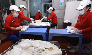 Quảng Ninh triển khai thí điểm đề án “Mỗi xã, phường một sản phẩm”