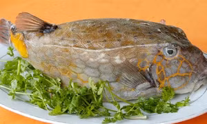 Về Bình Thuận ăn cá Bò Hòm nướng
