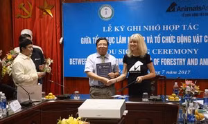 Việt Nam tăng cường bảo tồn loài gấu