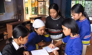 Thành lập Ban Soạn thảo, Tổ Biên tập Đề án “Bảo tồn và phát huy tiếng nói, chữ viết dân tộc thiểu số trong hoạt động văn hóa”