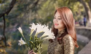 Hà Nội đẹp thơ mộng mùa cây thay lá