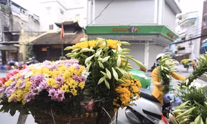 Hoa loa kèn, sắc màu dịu dàng tháng Tư