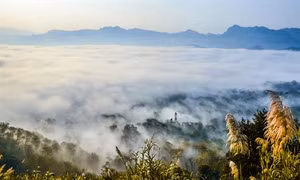 Biển mây trên đèo Tằng Quái