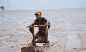 Nghề “trượt mong” ở Trần Đề