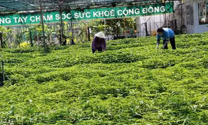 Xóa rào cản, bỏ định kiến, “chắp cánh” cho kinh tế tư nhân (Bài 1)