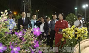 Thành phố Hồ Chí Minh khai mạc Hội hoa xuân Đinh Dậu 2017