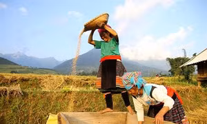 Phát huy hiệu quả mô hình liên kết cùng phát triển kinh tế vùng đồng bào dân tộc huyện Đăk Đoa