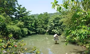 Thư thái với Sơn Trà Tịnh Viên