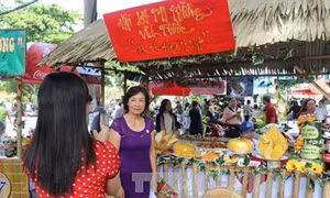 Festival biển Nha Trang - Khánh Hòa 2017: Nhiều hoạt động xã hội, bảo vệ môi trường