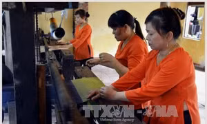 Khai mạc Festival Văn hóa Tơ lụa thổ cẩm Việt Nam - châu Á 2017