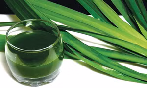 Lá dứa - thần dược của sức khỏe và sắc đẹp