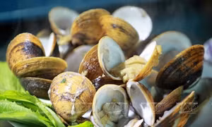 Vọp luộc gừng - Đặc sản Cà Mau 