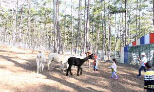 ZooDoo Đà Lạt – nơi giáo dục tình yêu thiên nhiên cho trẻ