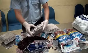 Hải quan Tân Sơn Nhất liên tiếp bắt giữ các vụ nhập lậu cần sa