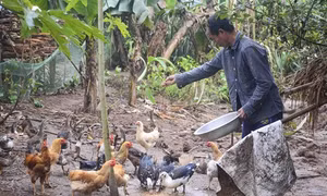 Điện Biên: Cuộc sống mới ở những điểm sắp xếp dân cư theo Đề án 79