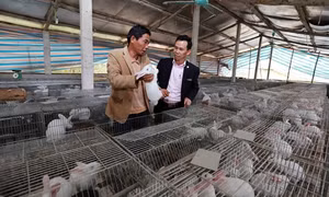 Đẩy nhanh tiến độ xây dựng nông thôn mới