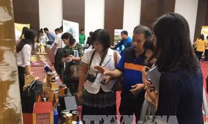 Phát huy tiềm năng vườn ươm doanh nghiệp (Bài 2): Tìm hướng đi mới