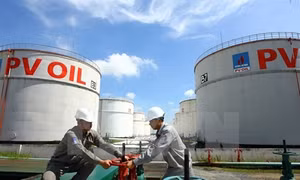PV Oil đầu tư nhiều hạng mục