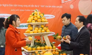 Cam Vinh được cấp chứng nhận chỉ dẫn địa lý