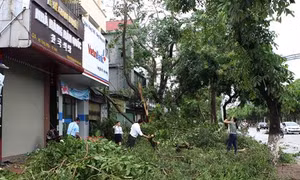 Tin cuối cùng về cơn bão số 2