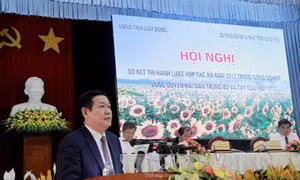 Tái cơ cấu lại ngành nông nghiệp gắn với kinh tế tập thể