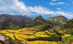 Lễ thu hồn vía cho lúa của người Tày