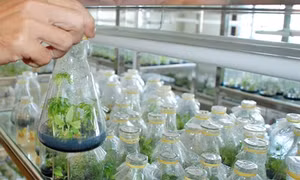Đẩy mạnh ứng dụng khoa học công nghệ vào sản xuất nông nghiệp (Bài 2)
