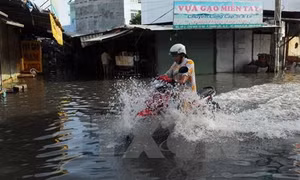 Thời tiết ngày 15/11: Nam Bộ triều cường dâng cao, từ Quảng Bình đến Quảng Ngãi có mưa to