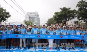 Giải việt dã Thành phố Hồ Chí Minh - 2017
