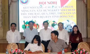 Kết nối cung – cầu đối với các sản phẩm nông sản Đồng Nai
