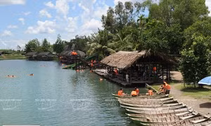 Chốn đồng quê Bò Cạp Vàng