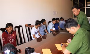 Cà Mau: Liên tiếp triệt xoá các trường gà quy mô lớn