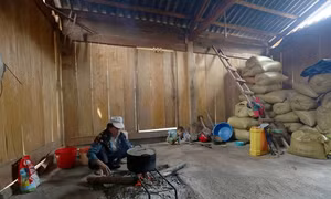 Ổn định sản xuất cho người dân theo Đề án 79