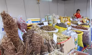 Tuần lễ đông y lần thứ III năm 2017 tại Thành phố Hồ Chí Minh