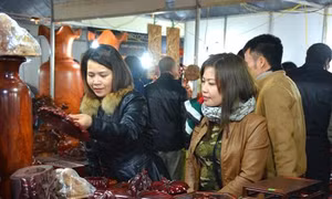 Giới thiệu, quảng bá các sản phẩm thương mại, dịch vụ, du lịch tỉnh Nam Định