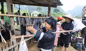 Bí quyết nghề rèn của người Nùng Phúc Sen