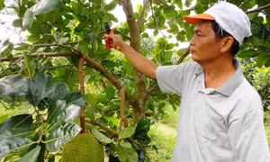 Thương binh Trần Văn Hiền góp sức xây dựng nông thôn mới Cẩm Sơn