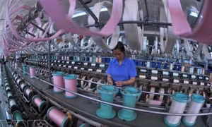 Hồi sinh nghề dâu tằm tơ truyền thống Bảo Lộc