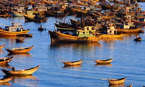 Đại Bình- “vùng đất Nam bộ” ở duyên hải miền Trung
