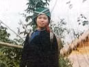 Người Giáy