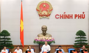 Chỉ đạo của Thủ tướng về một số vụ việc cụ thể