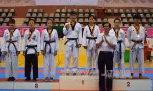 Thành phố Hồ Chí Minh dẫn đầu Giải vô địch Taekwondo khu vực miền Nam năm 2017