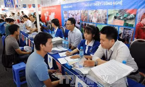 Thí sinh cần cân nhắc kỹ càng việc điều chỉnh nguyện vọng