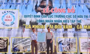 Đăng ký nhãn hiệu tập thể "Cá khoai Cái Đôi Vàm – Cà Mau"