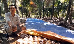  Thành công từ mô hình chuyển đổi sản xuất thích ứng biến đổi khí hậu