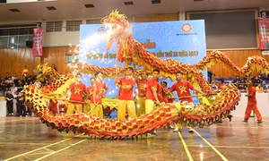 Khai mạc Hội diễn Võ thuật cổ truyền Hà Nội mở rộng lần thứ 33 - năm 2017